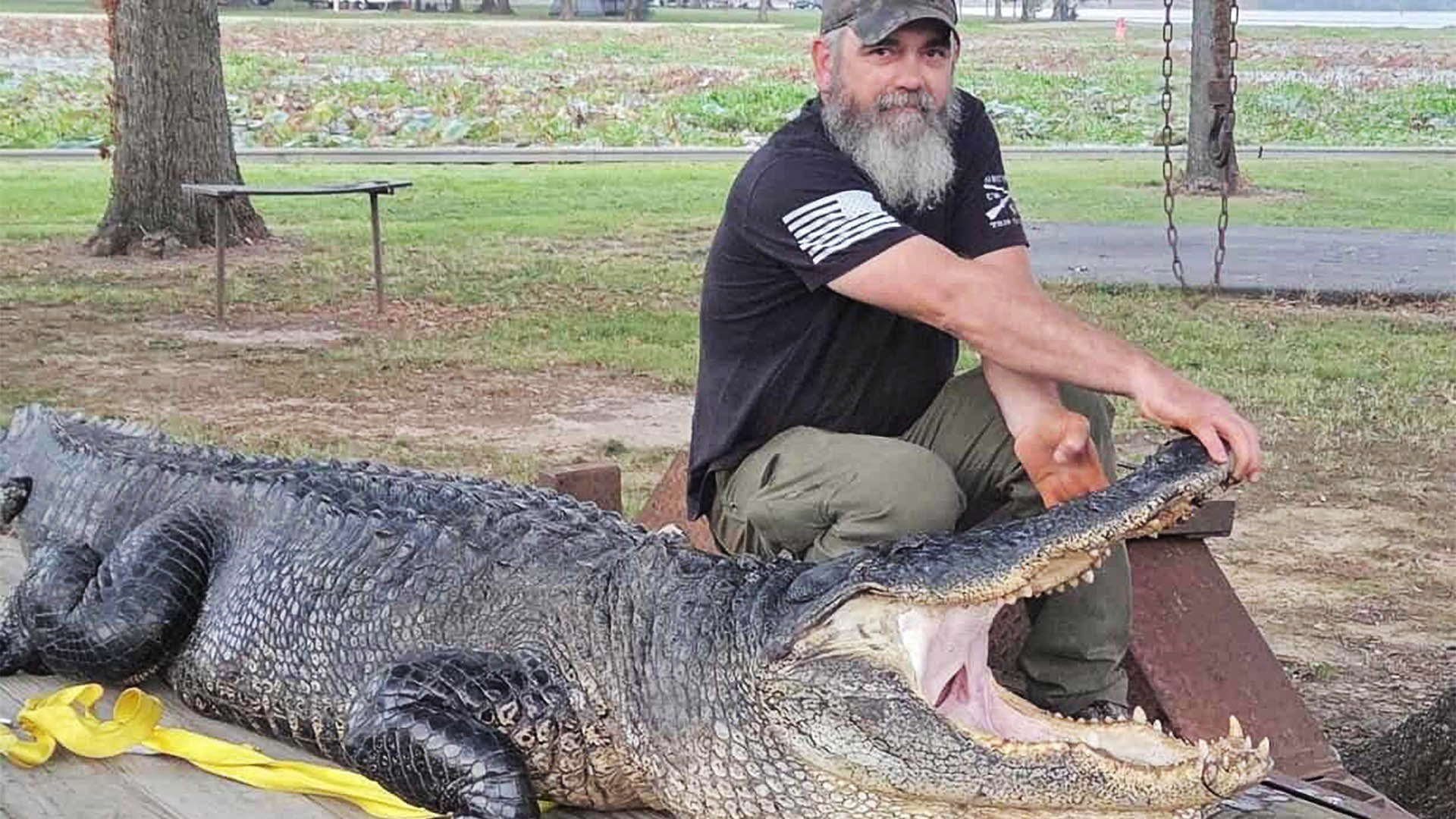 LEDE 2025 Alligator