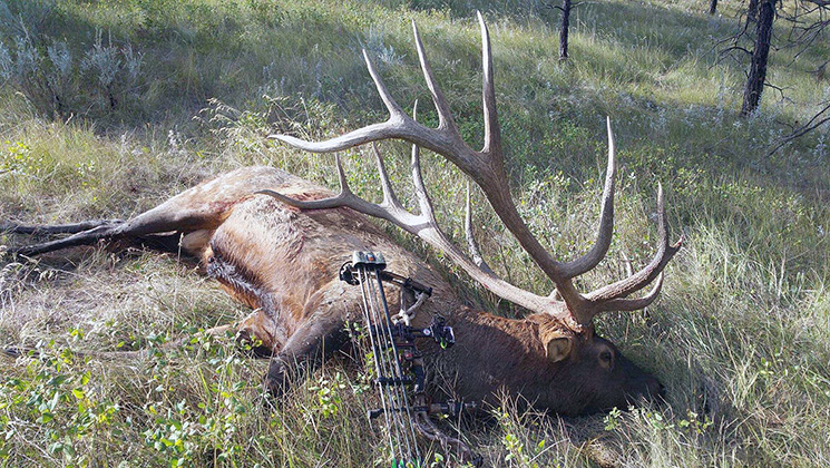 Potential World-Record Elk Confirmed | An Official Journal Of The NRA