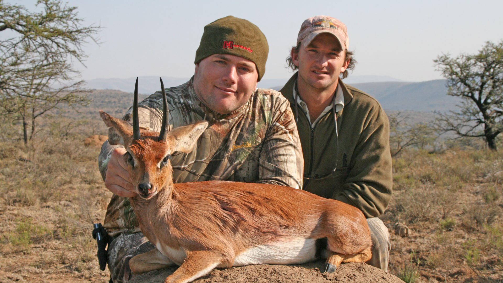 Steenbok with guide