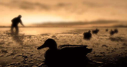 20091028-20061031_c_156b.buckley_f.gif