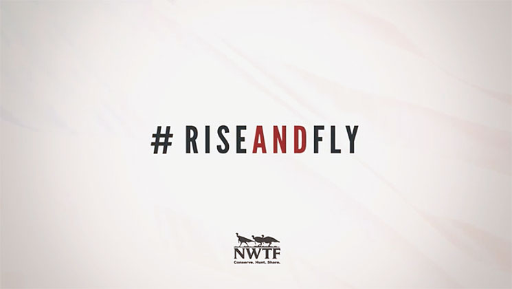 nwtf_rise_and_fly_f.jpg