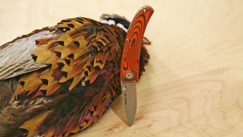 2012113093932-dc_cool_folder_m.jpg