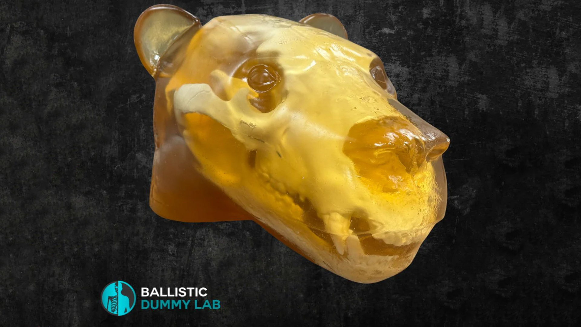 Bear Skull Gel