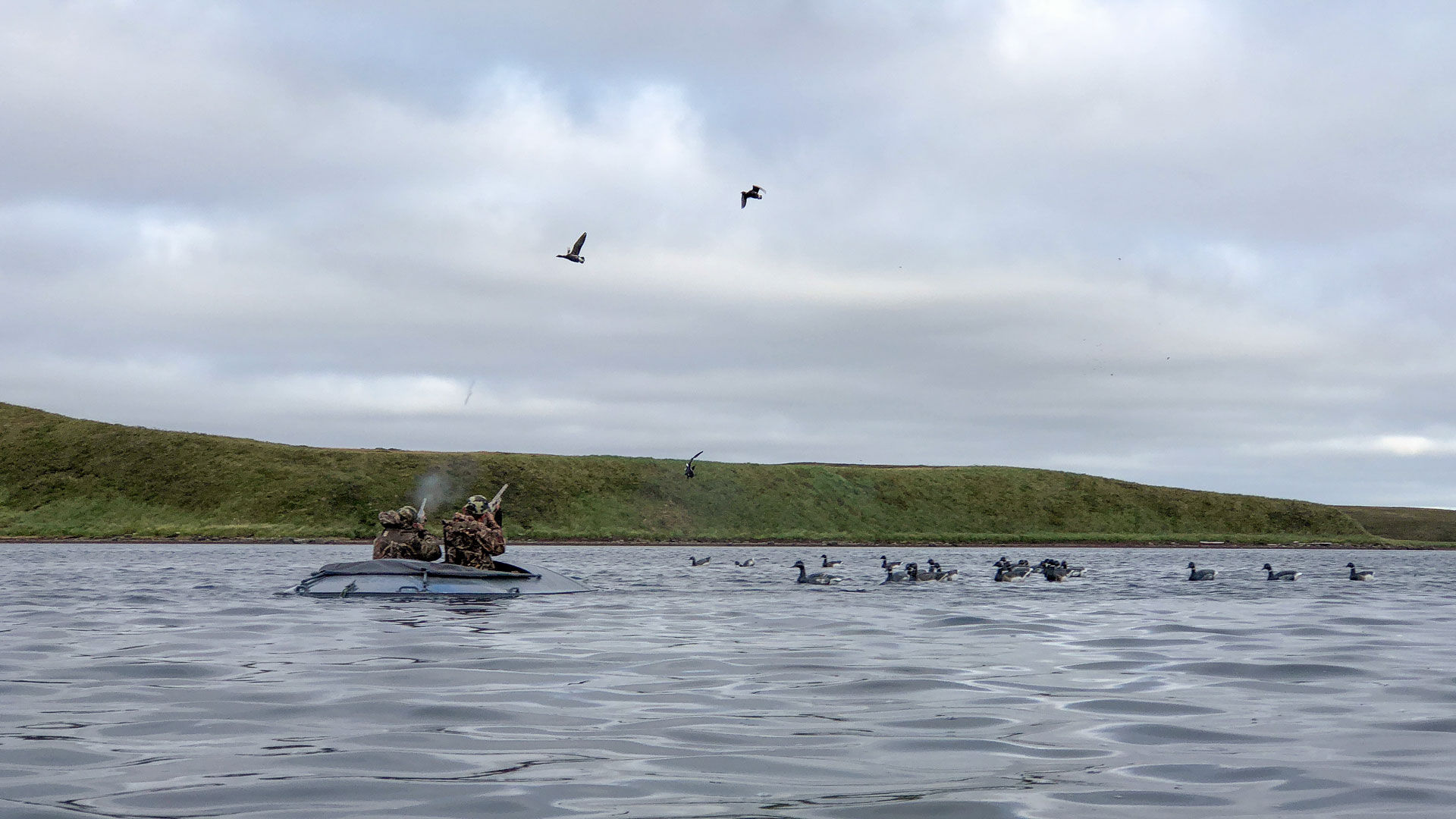 On Izembek Lagoon, Pacific black brant are commonly hunted from layout boats..