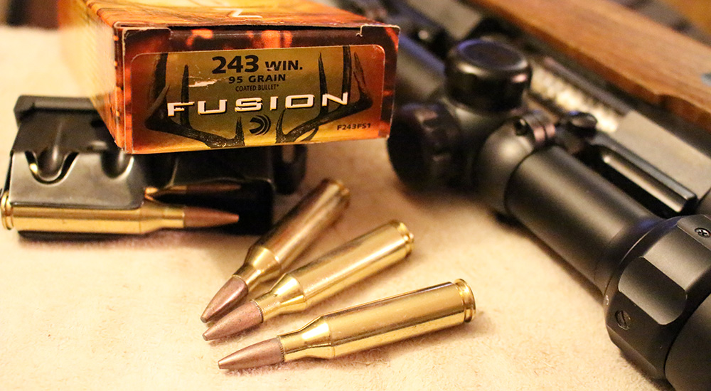 Federal Fusion 95-grain .243 Winchester ammunition.
