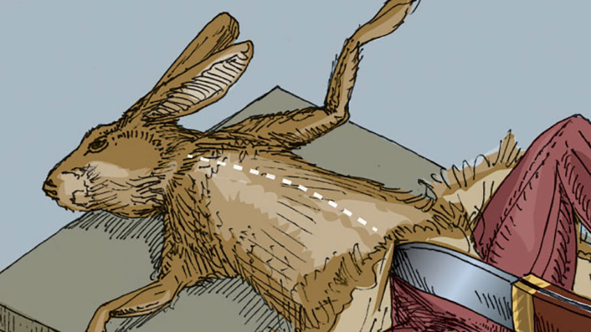 rabbitskinning_lead.jpg