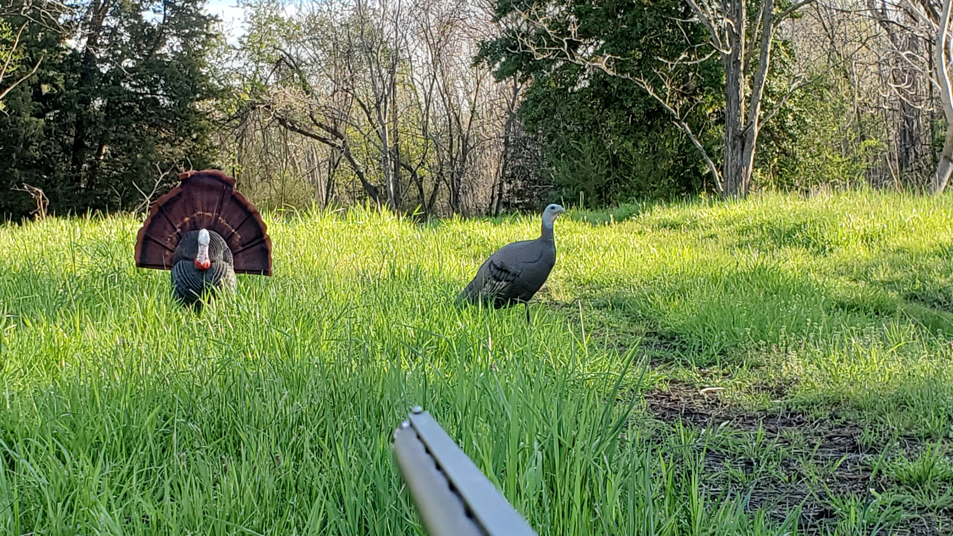 Never Line up behind your deke