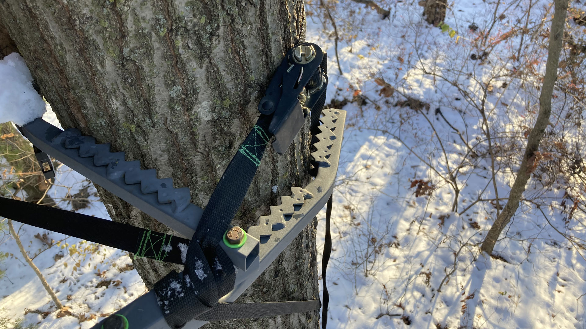 Tree stand
