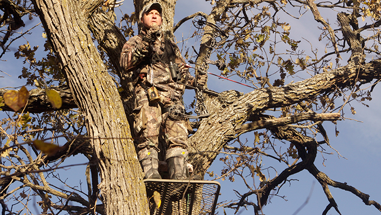 treestanddisappear_lead.jpg