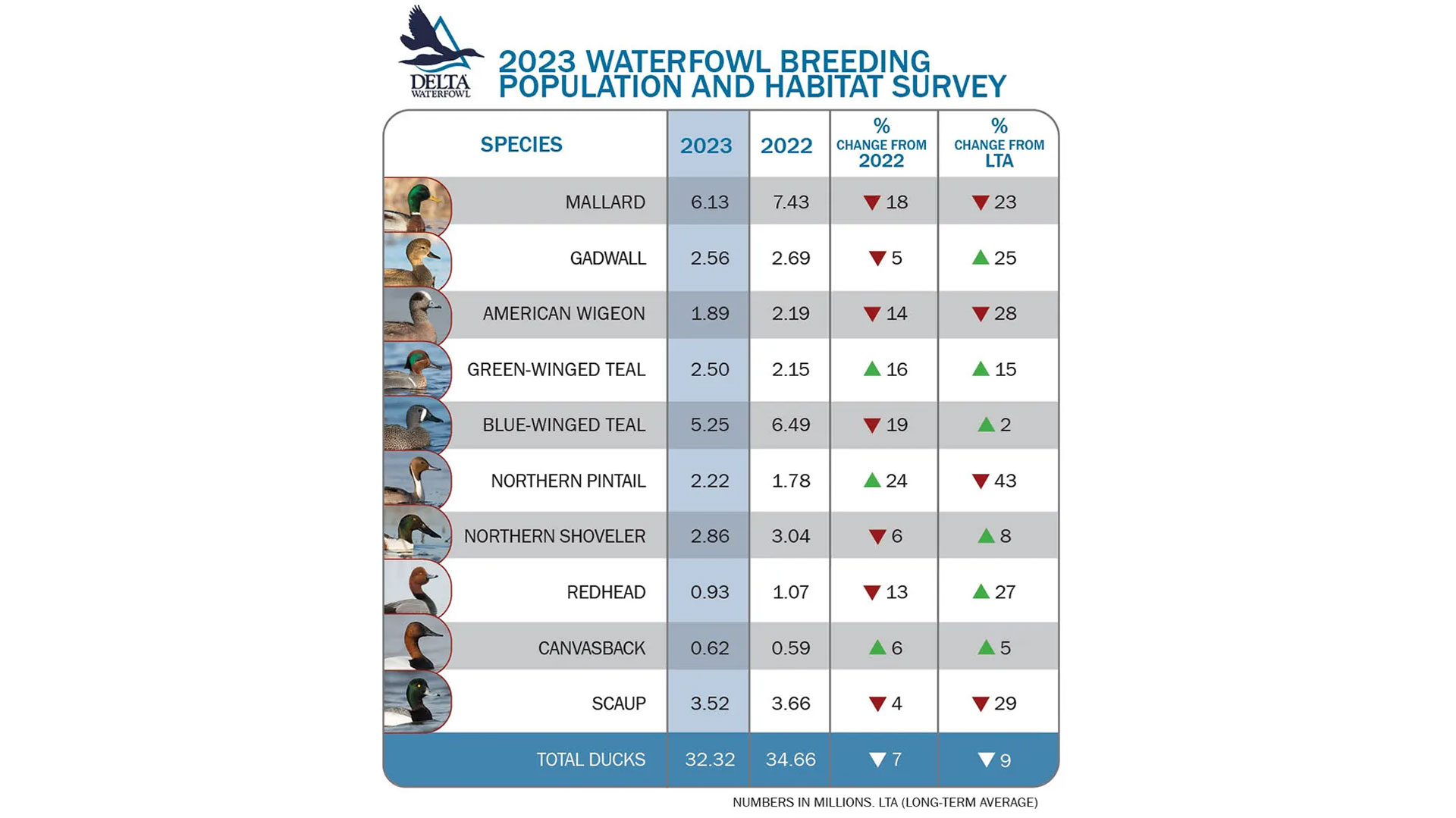 MAIN2023 Waterfowlsurvey 10Species