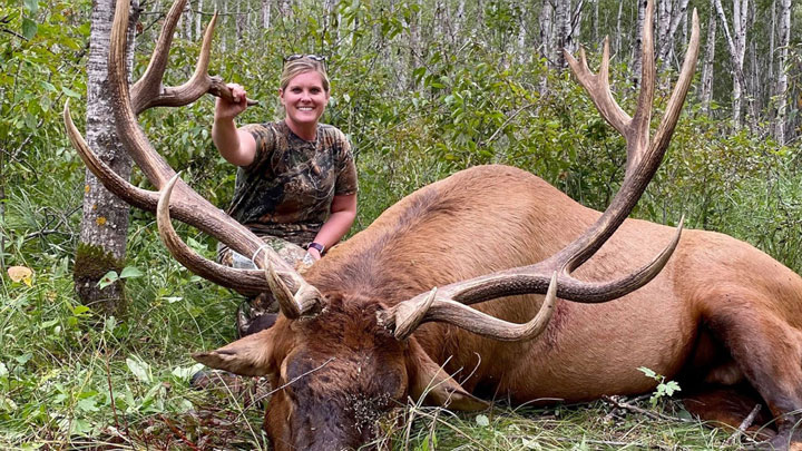 mainlacey-lupien-minnesota-bull-elk.jpg