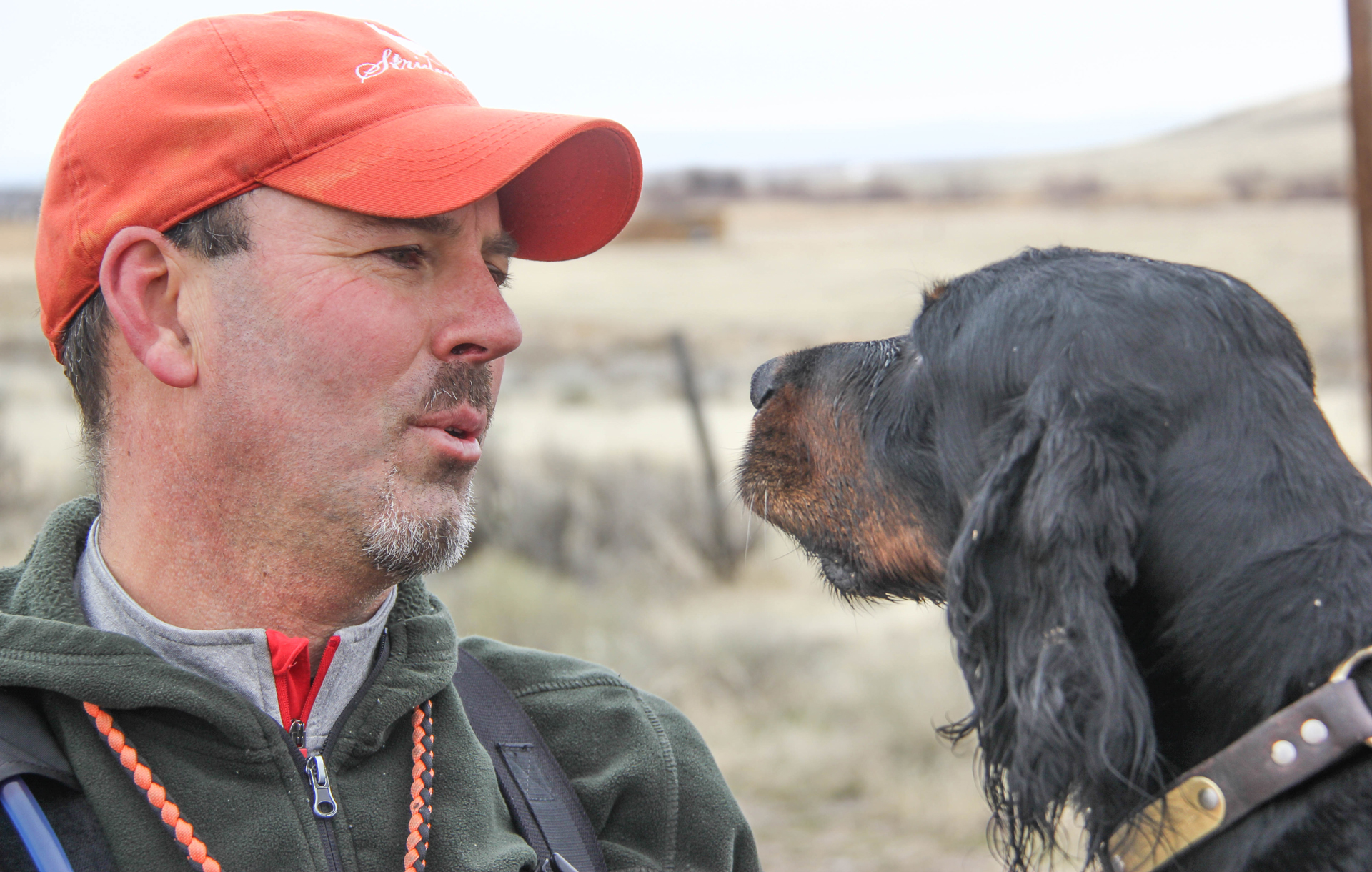 What type of hunter am I?