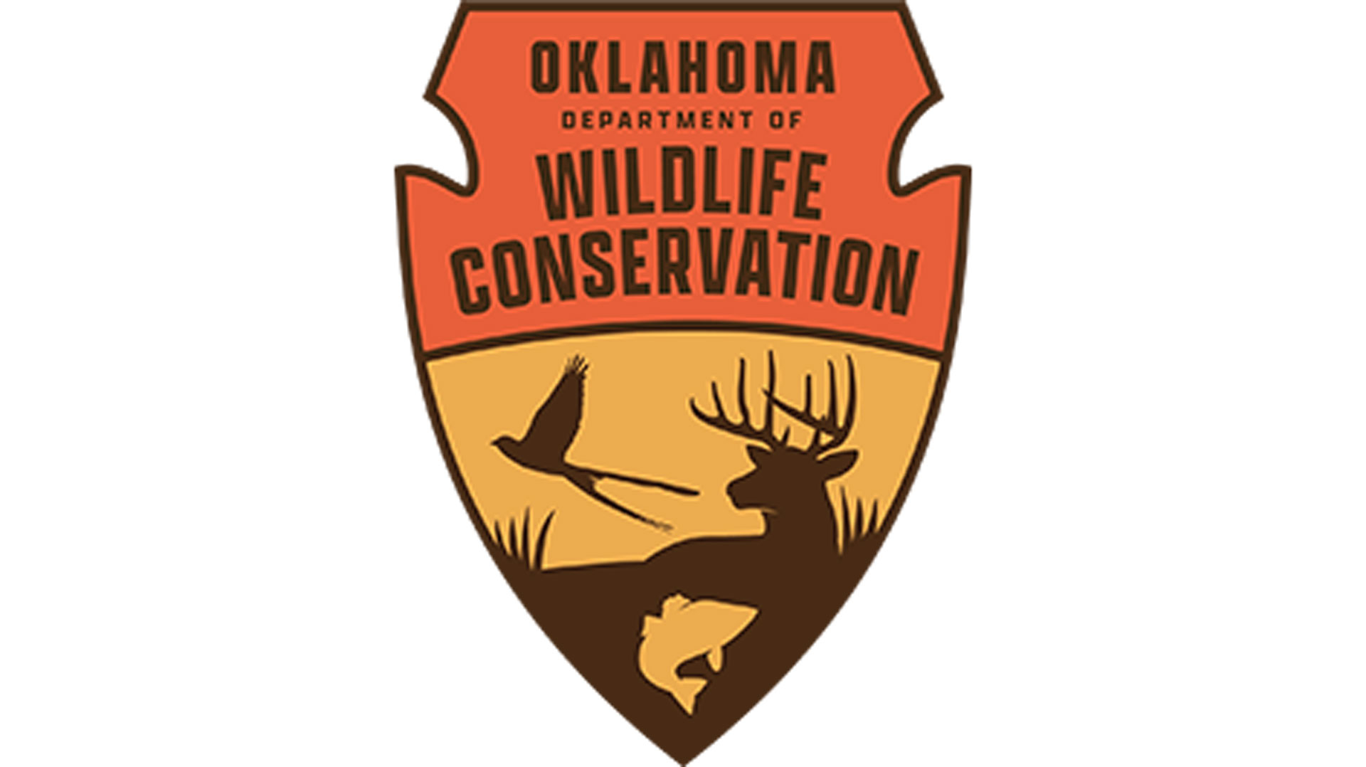 Redspot Chub  Oklahoma Department of Wildlife Conservation