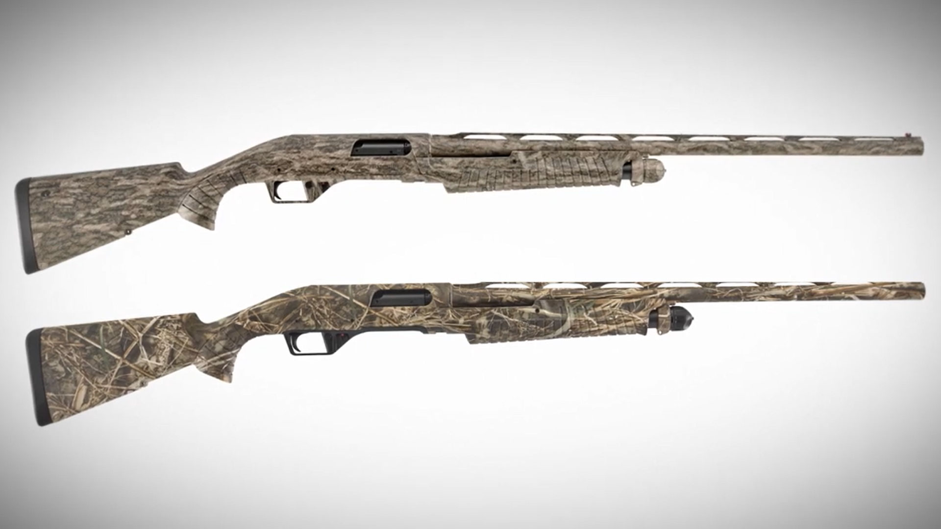 Benelli Nova 3 on white