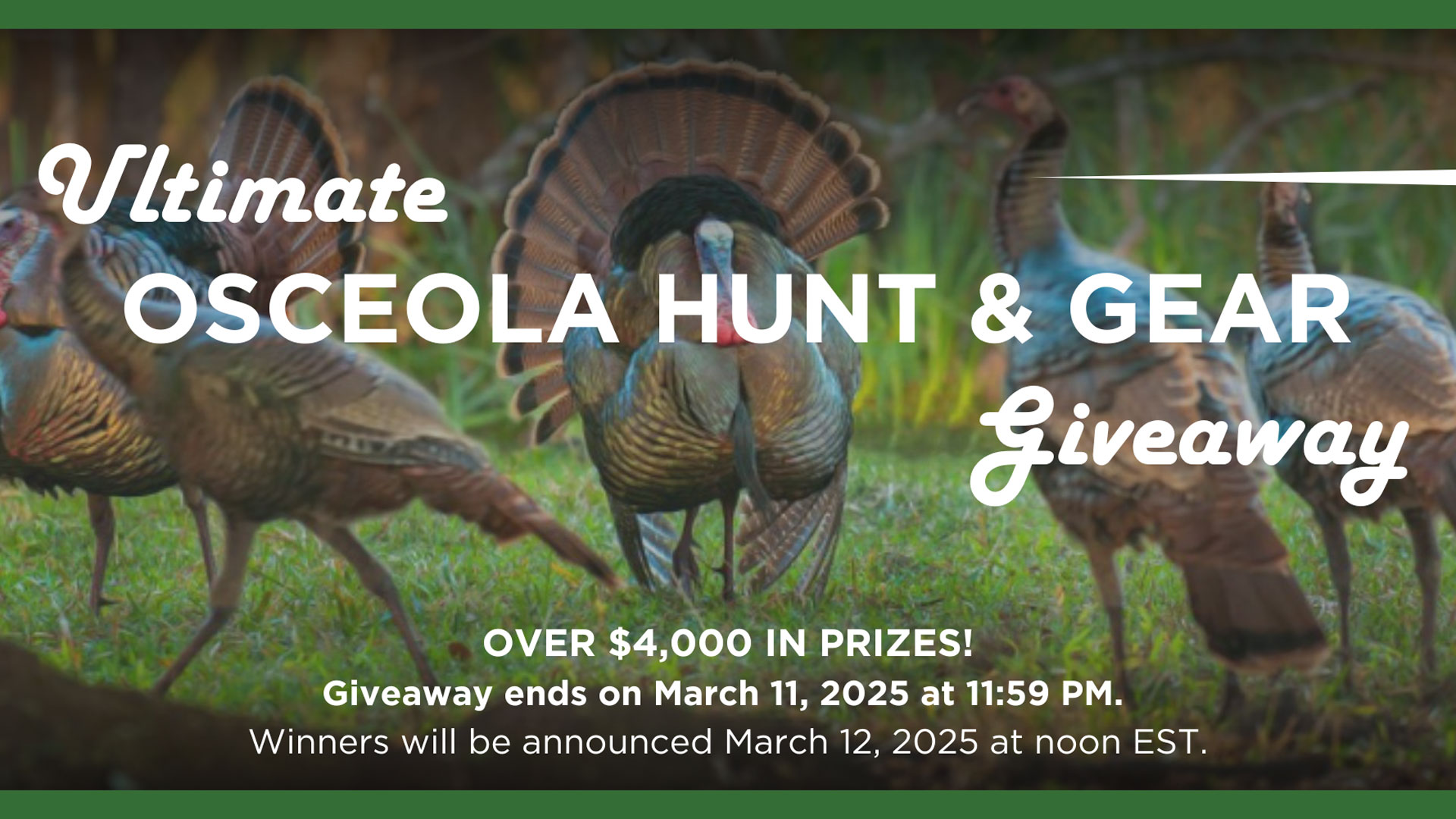 Osceola Hunt And Gear Giveaway Lede