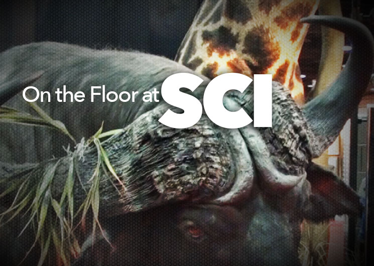 sci_ah2015_fs.jpg (8)