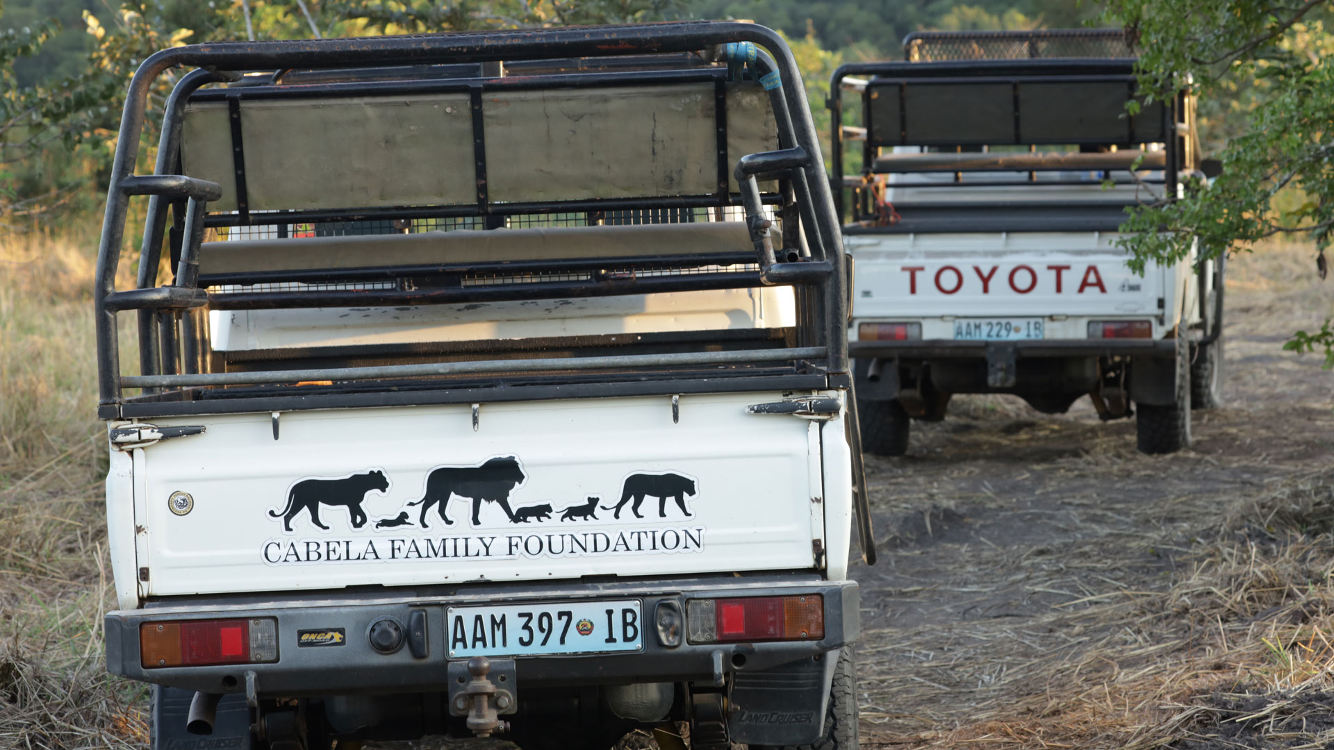 The Cabela Family Foundation