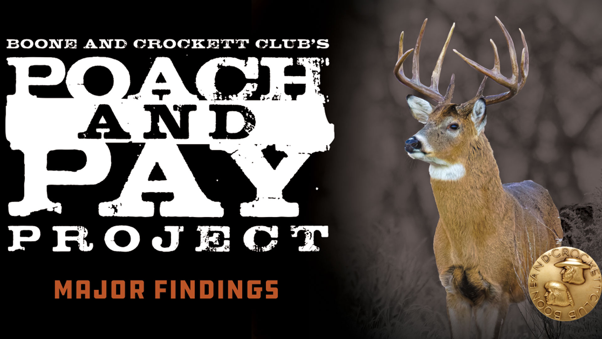 Ledepoach And Pay Major Findings