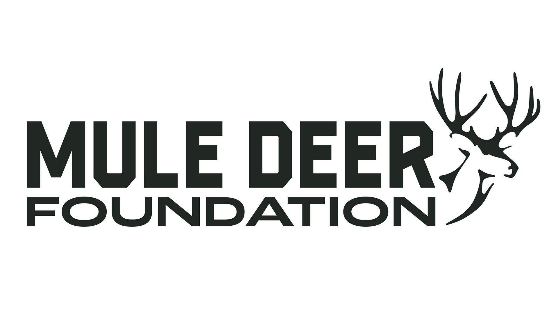 Ledemule Deer Foundation Delivers