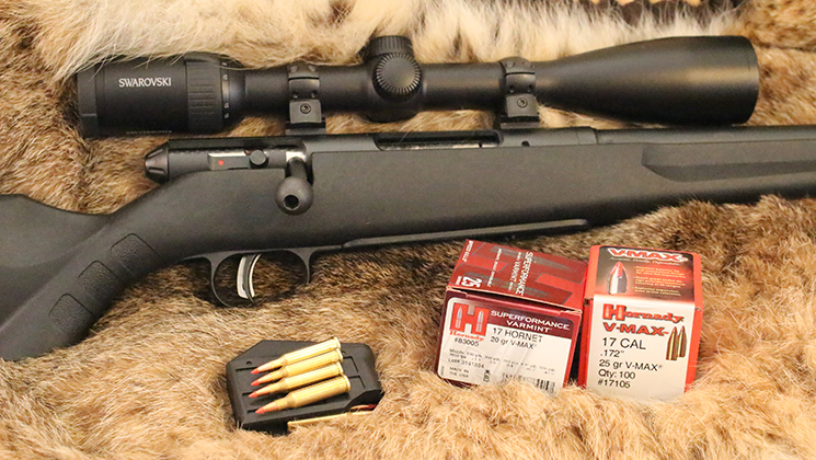 top_5_varmint_predator_rifles_f.jpg