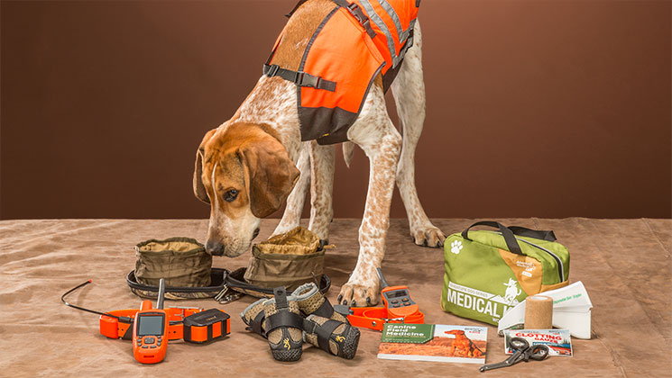 9 Products For Blind Dogs - Pet Radio Magazine