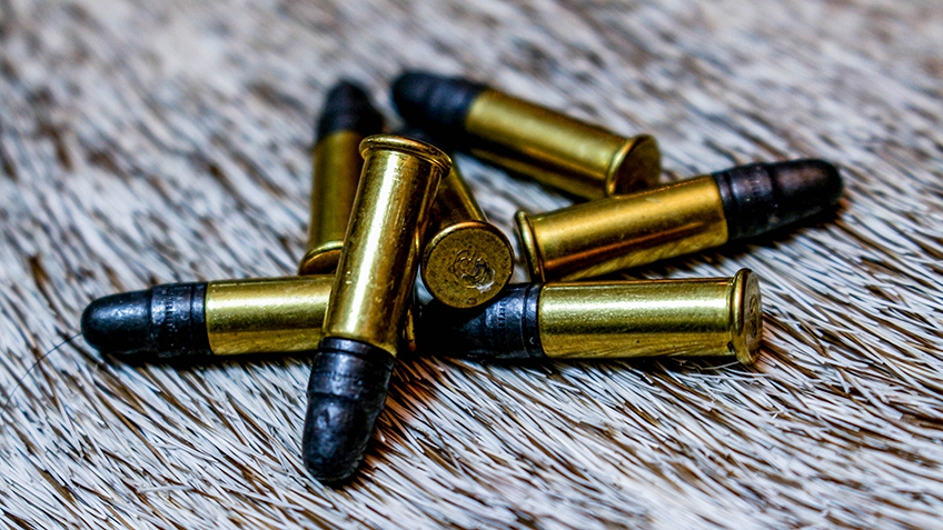22 caliber bullets