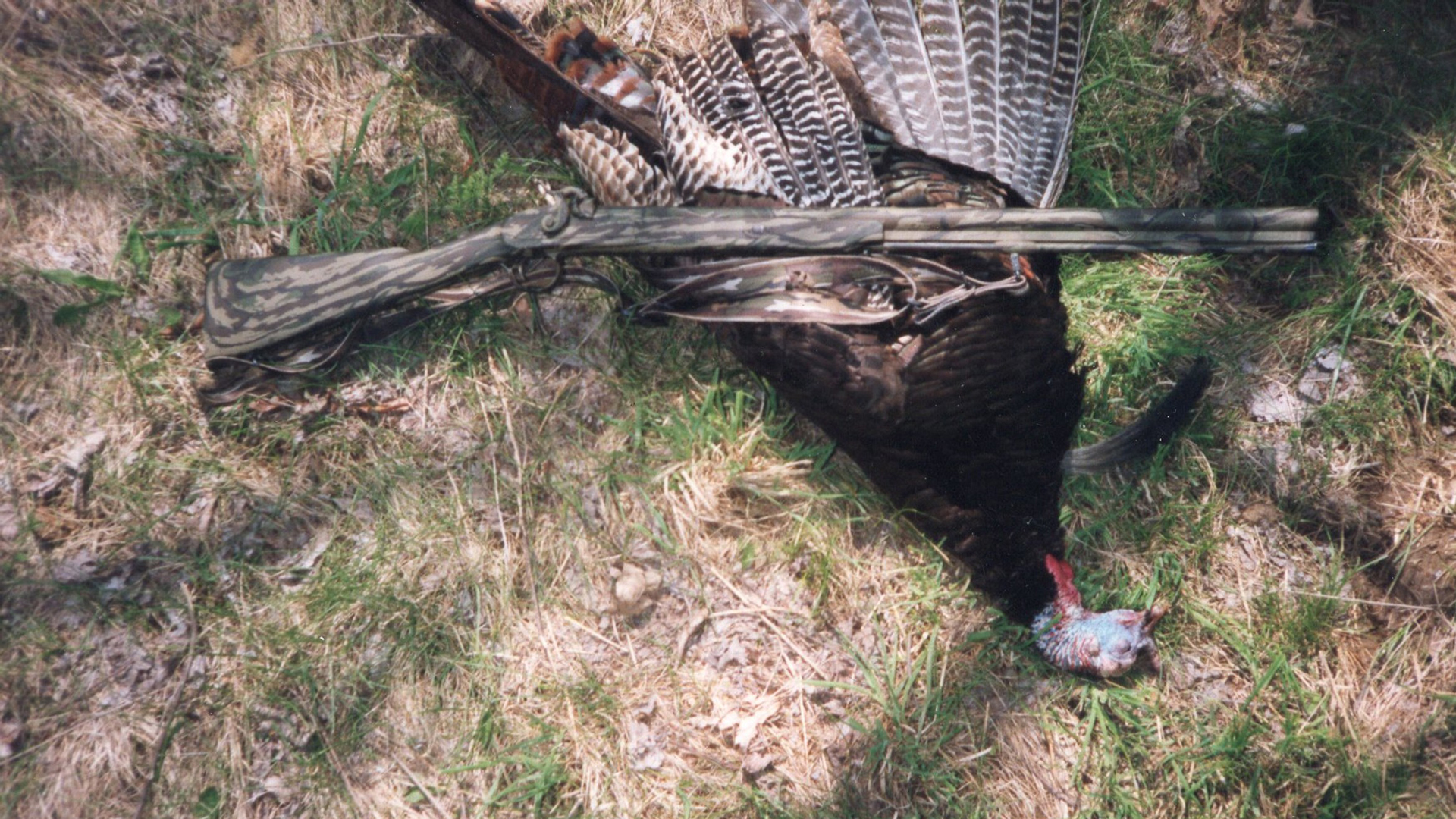 Black Powder Turkey