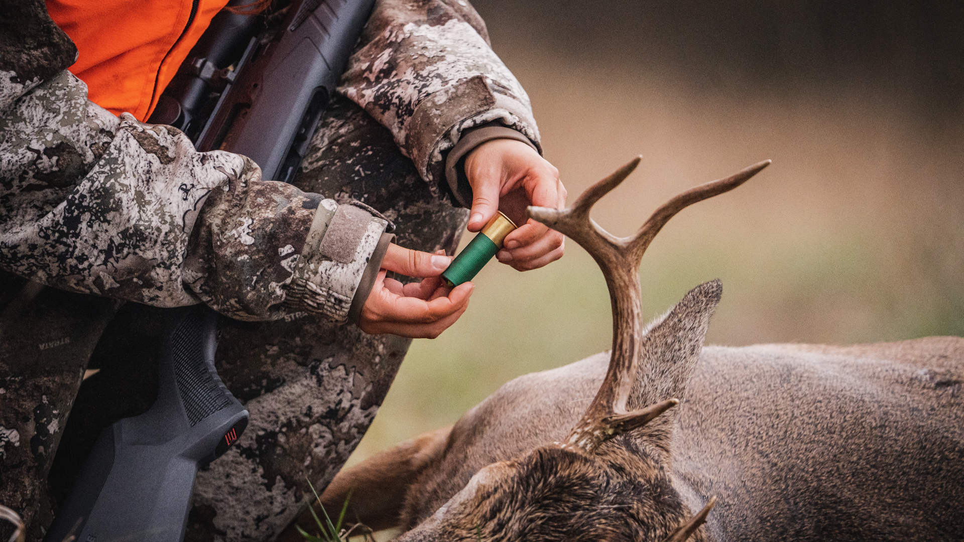 Buck With Slug