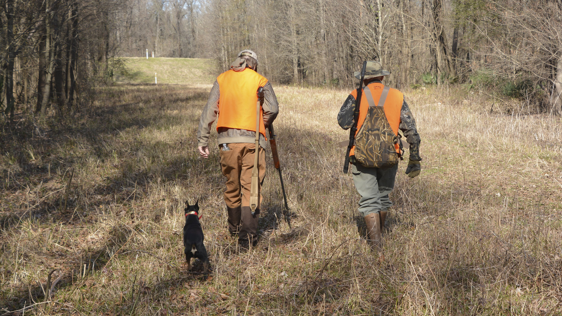 Hunters Walking With Dog